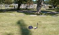 Tombstone_Stanley_and_Henry_Vasinska_Sect18_Lots1042_43_no_stone