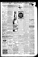 Article_Durham_Sun_Wed_Jul_6_1904_Ira_Millette